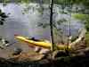 SANY0981.JPG - 2008:08:15 10:30:51