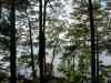 SANY0987.JPG - 2008:08:15 10:34:49