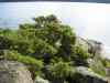 SANY0988.JPG - 2008:08:15 10:35:31