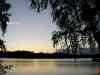 SANY1007.JPG - 2008:08:15 20:51:19