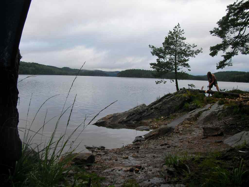 * Image 8