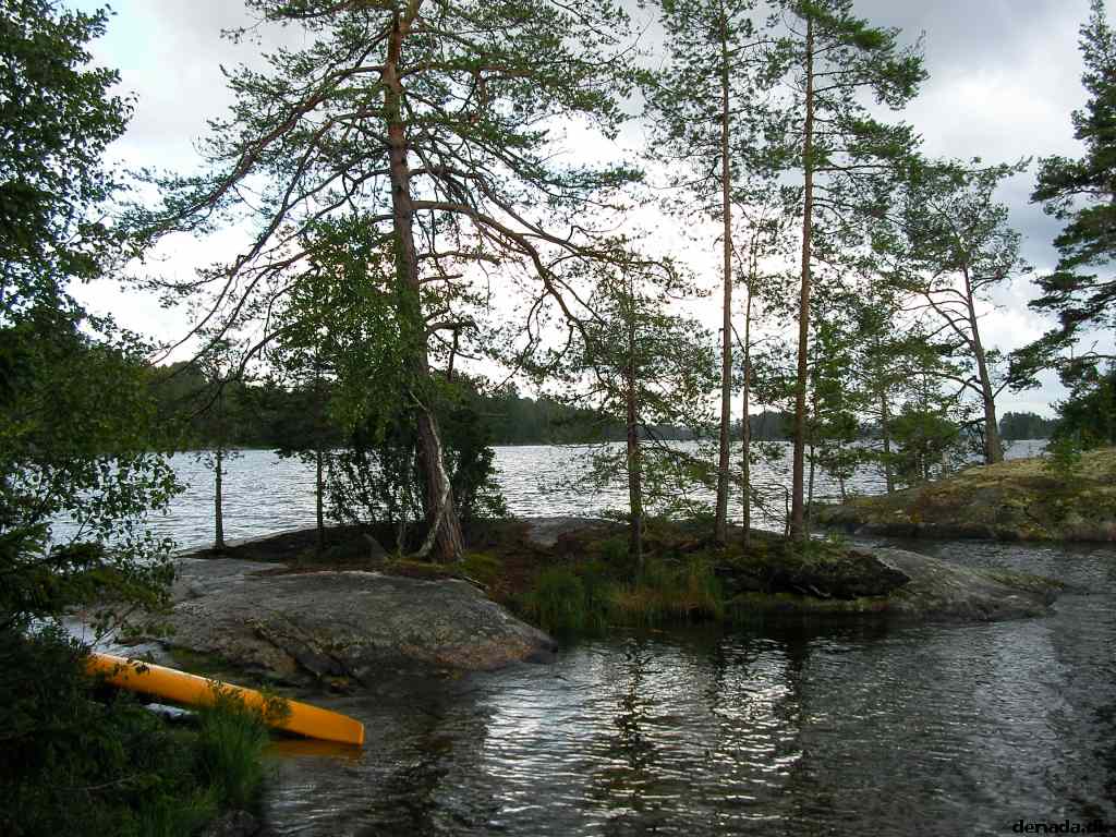 * Image 31