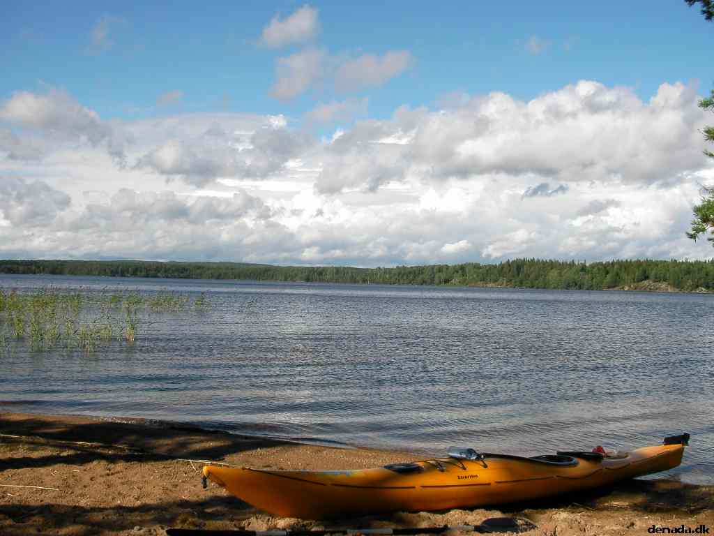 * Image 39