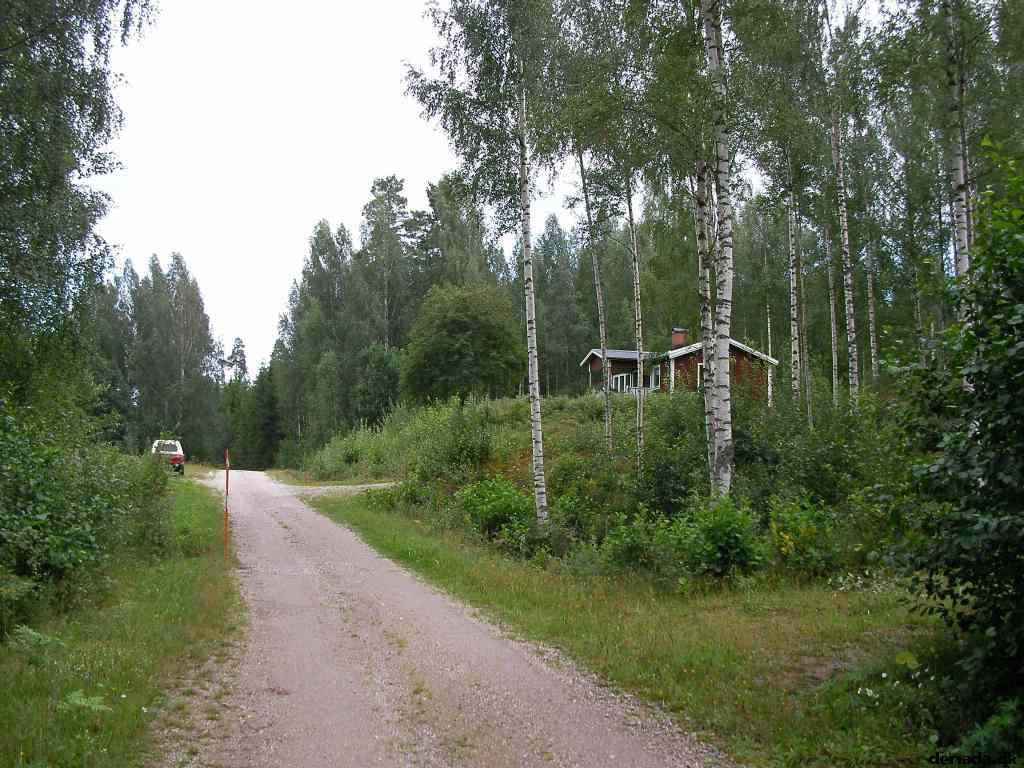 * Image 42