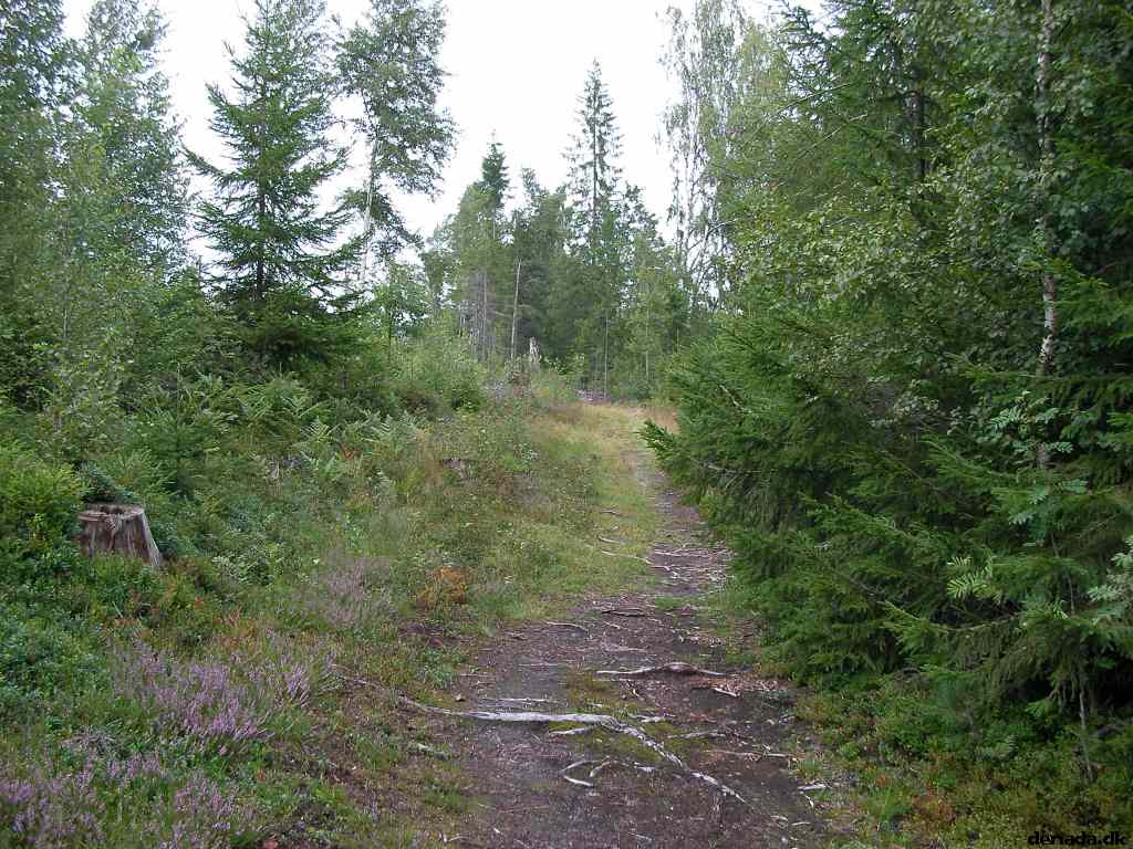 * Image 43