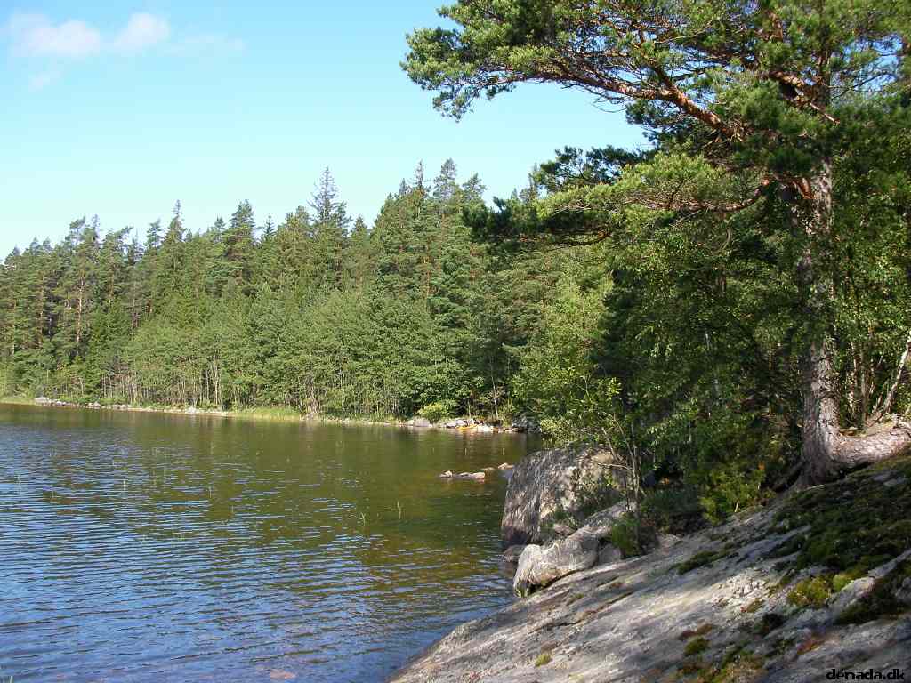 * Image 52