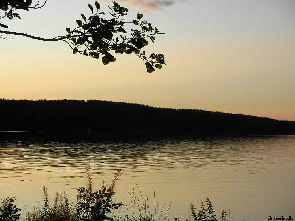 * Image 67