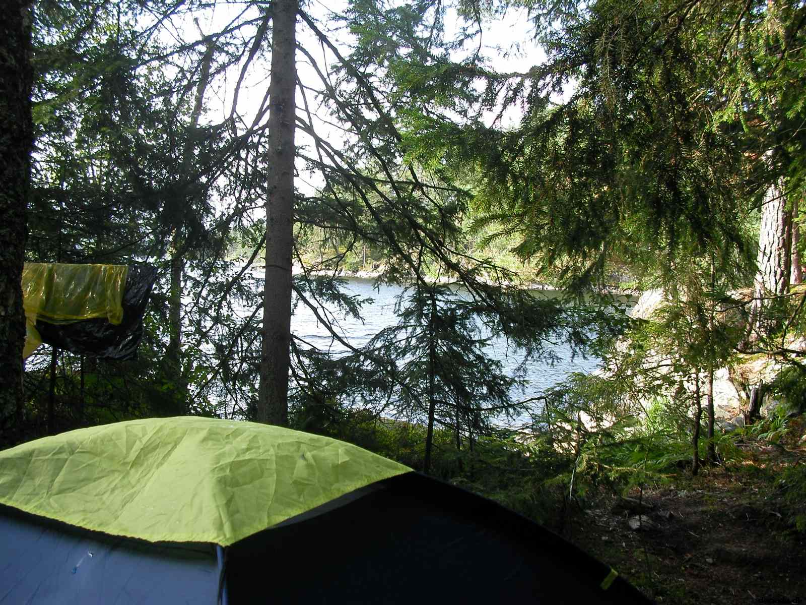 * Image 12