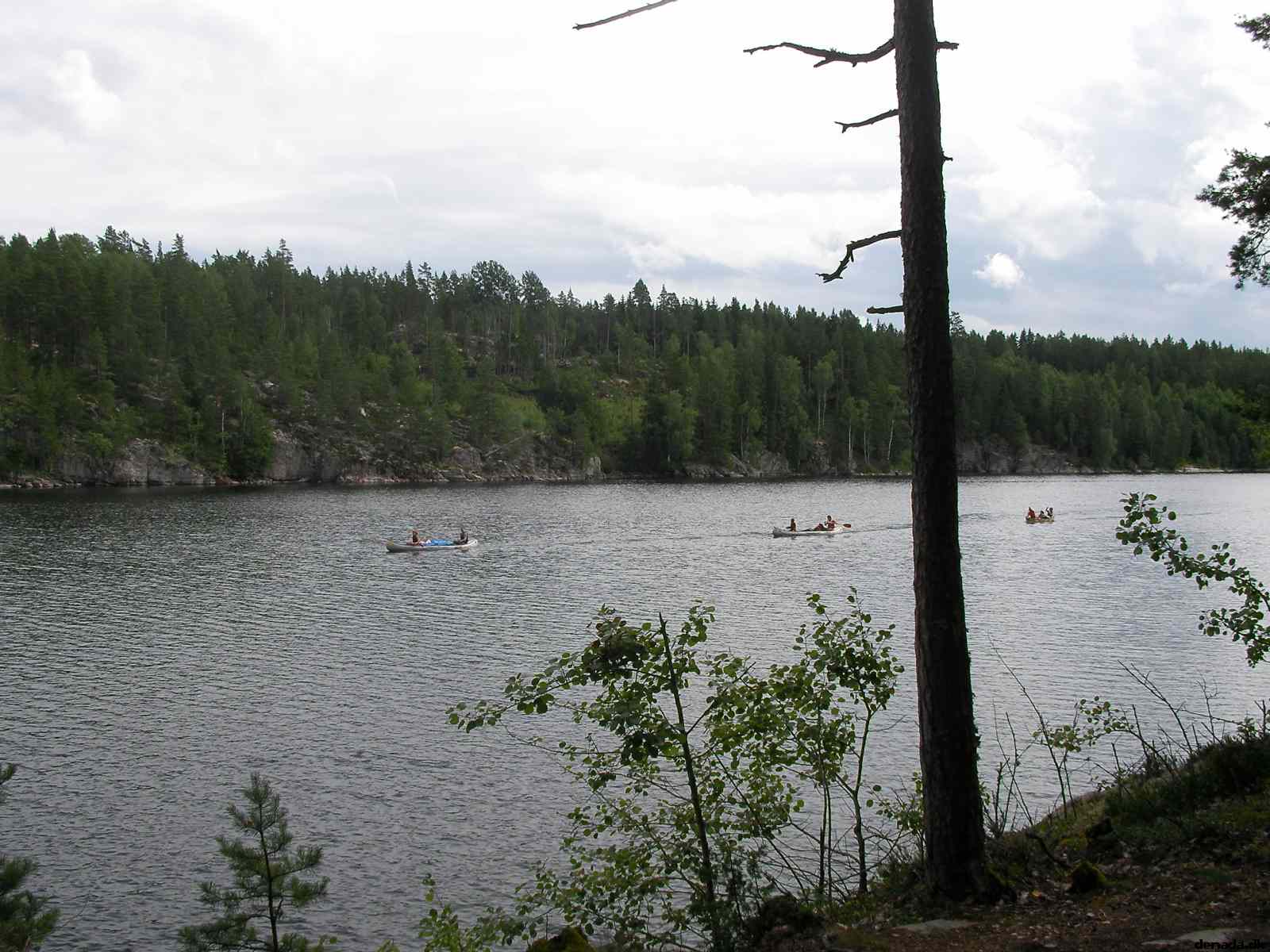* Image 15