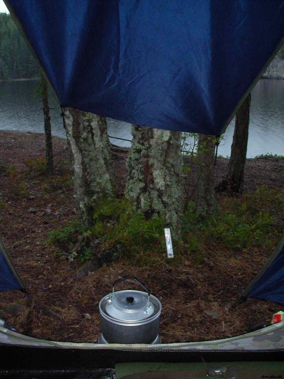 * Image 19
