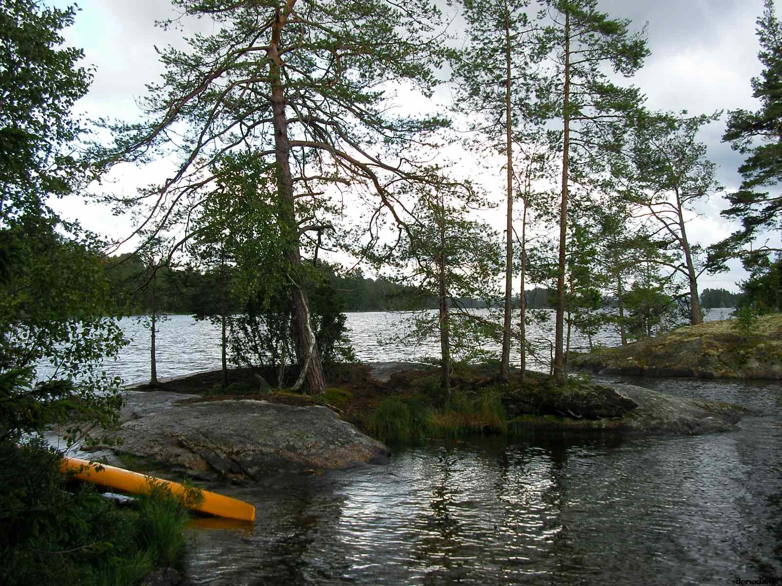 * Image 31
