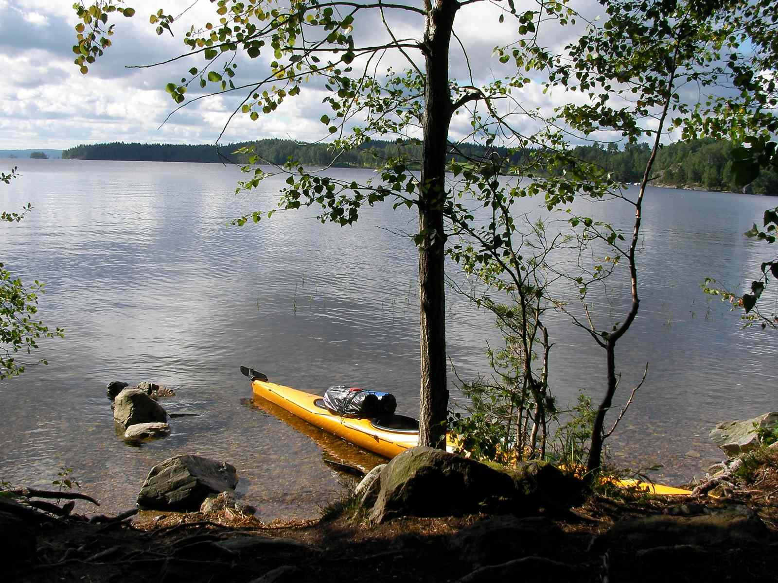 * Image 48