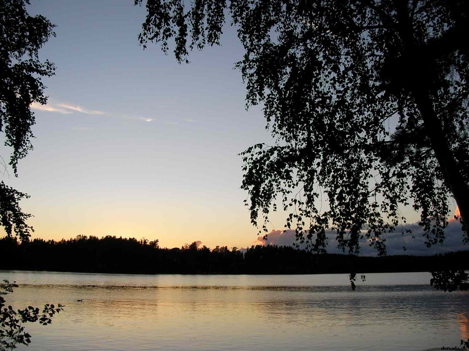 * Image 55