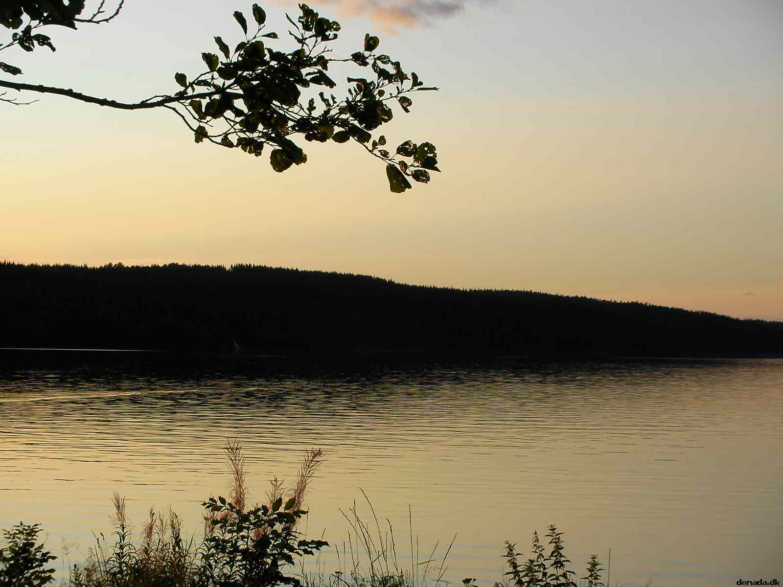 * Image 67