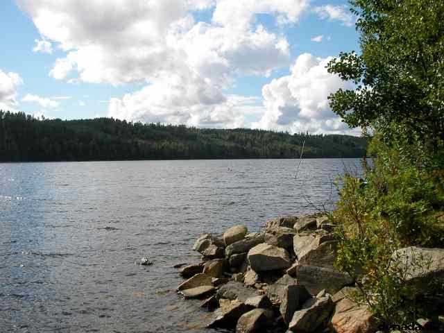 * Image 4