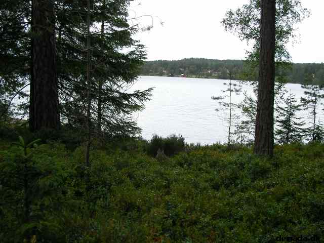* Image 28