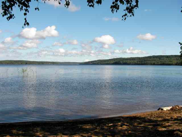 * Image 41