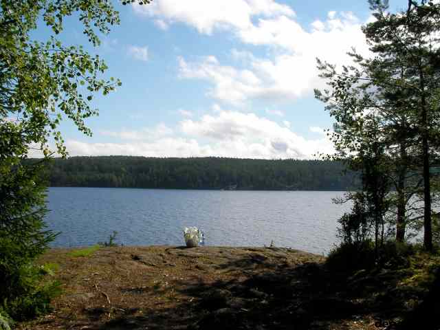 * Image 46