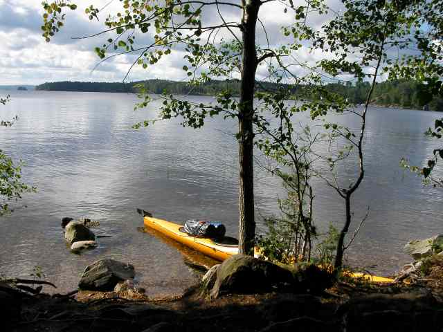* Image 48