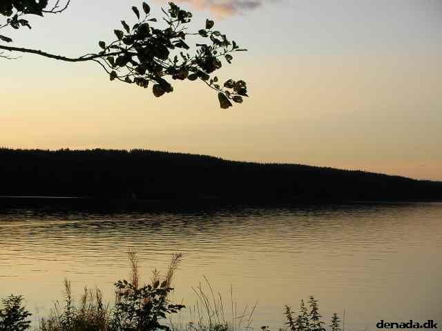 * Image 67