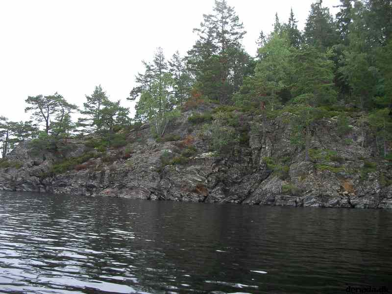 * Image 7