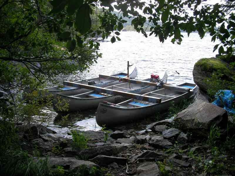 * Image 13