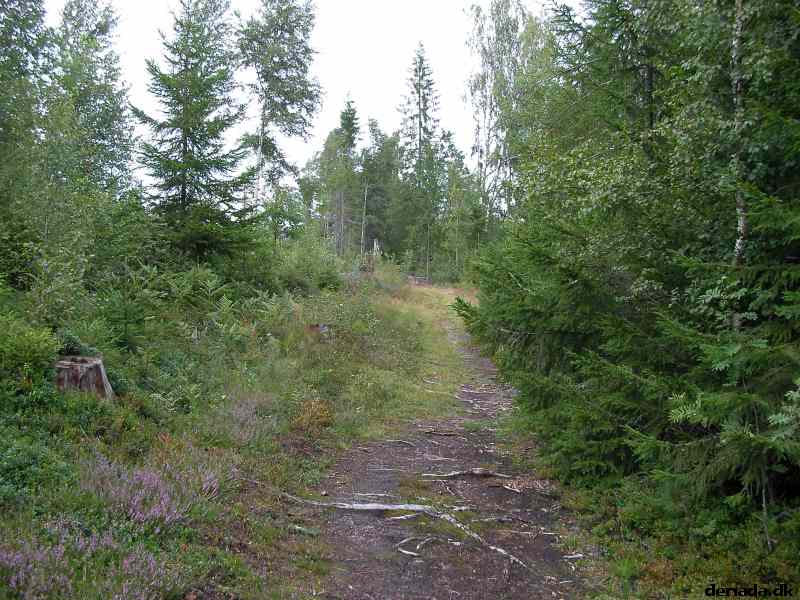 * Image 43
