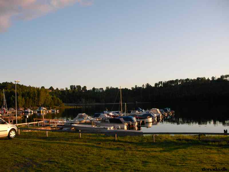 * Image 64
