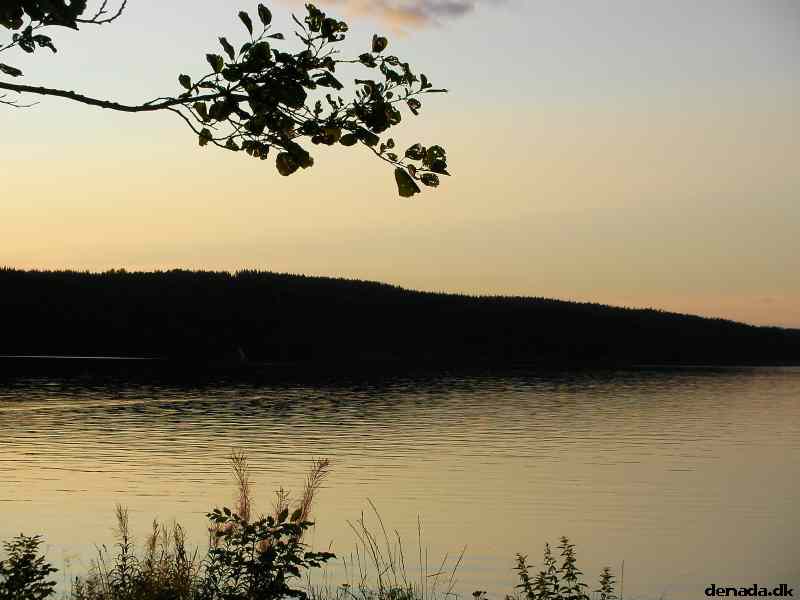 * Image 67