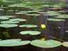 SANY2061m.jpg - 2010:08:16 10:07:10