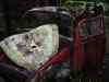 SANY2085m.jpg - 2010:08:17 10:17:47