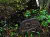 SANY2091m.jpg - 2010:08:17 10:21:05