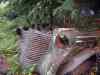 SANY2093m.jpg - 2010:08:17 10:22:07