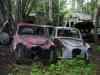 SANY2095m.jpg - 2010:08:17 10:23:19