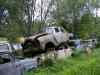 SANY2096m.jpg - 2010:08:17 10:23:48