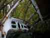 SANY2099m.jpg - 2010:08:17 10:24:41