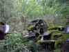 SANY2103m.jpg - 2010:08:17 10:27:18