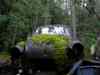 SANY2106m.jpg - 2010:08:17 10:29:11