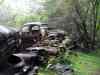 SANY2110m.jpg - 2010:08:17 11:02:23