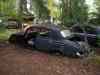 SANY2114m.jpg - 2010:08:17 11:04:21
