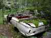 SANY2117m.jpg - 2010:08:17 11:06:21