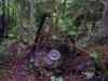 SANY2122m.jpg - 2010:08:17 11:10:57