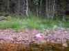 SANY2150m.jpg - 2010:08:19 14:08:11