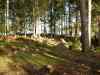 SANY2190m.jpg - 2010:08:25 19:11:48