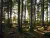 SANY2191m.jpg - 2010:08:25 19:12:43