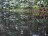 SANY2206m.jpg - 2010:08:26 12:31:35