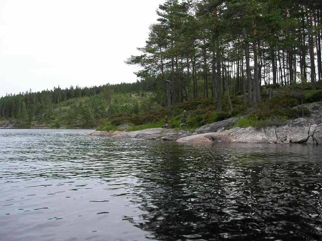 * Image 9