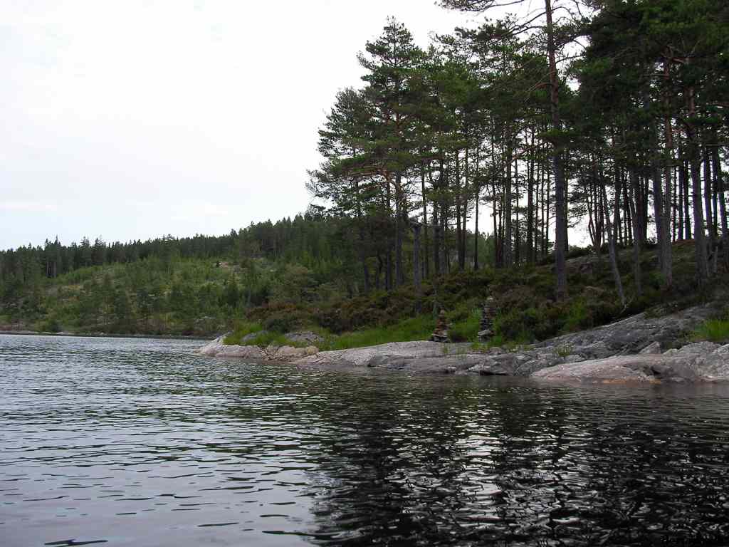 * Image 10