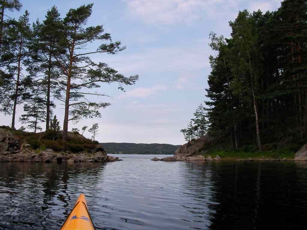 * Image 13