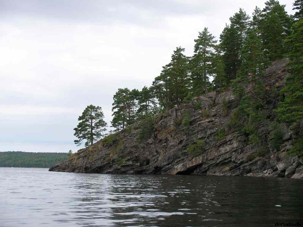 * Image 20